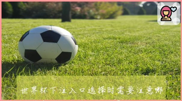 世界杯下注入口选择时需要注意哪些潜在风险和体验对比？