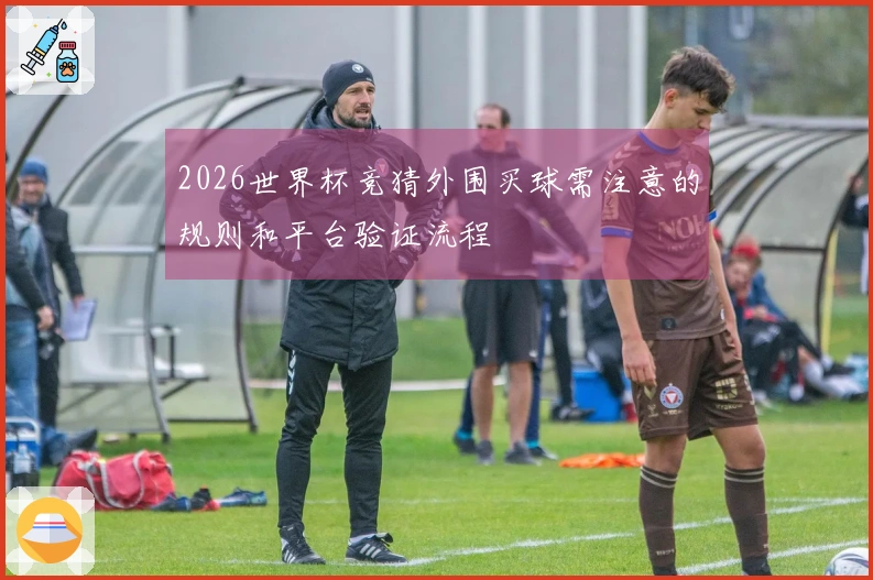 2026世界杯竞猜外围买球需注意的规则和平台验证流程