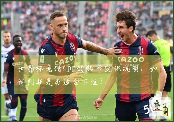 世界杯竞猜app的赔率变化说明，如何判断是否适合下注？