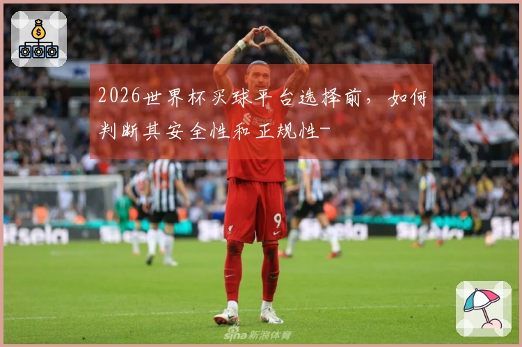 2026世界杯买球平台选择前，如何判断其安全性和正规性-