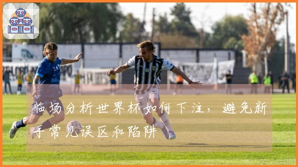 临场分析世界杯如何下注，避免新手常见误区和陷阱