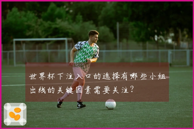 世界杯下注入口的选择有哪些小组出线的关键因素需要关注？