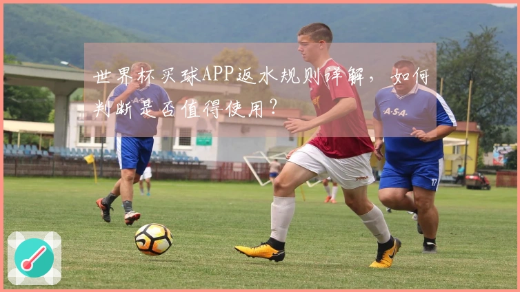 世界杯买球APP返水规则详解，如何判断是否值得使用？