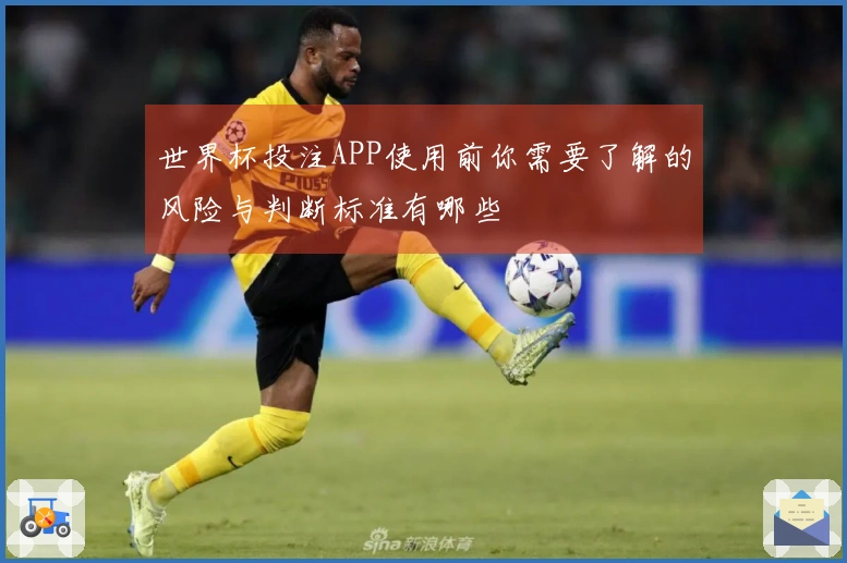 世界杯投注APP使用前你需要了解的风险与判断标准有哪些