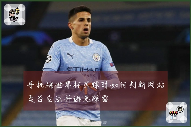 手机端世界杯买球时如何判断网站是否合法并避免踩雷