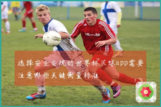 选择安全合规的世界杯买球app需要注意哪些关键衡量标准