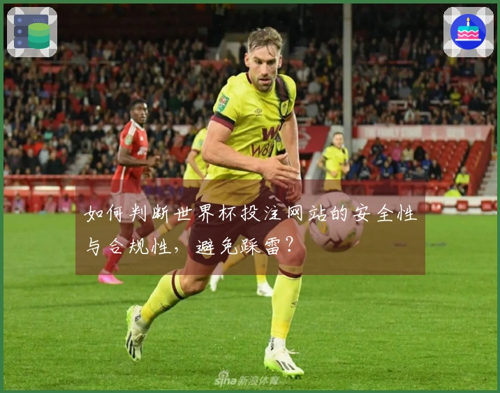 如何判断世界杯投注网站的安全性与合规性，避免踩雷？