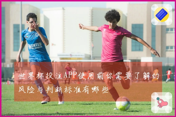 世界杯投注APP使用前你需要了解的风险与判断标准有哪些