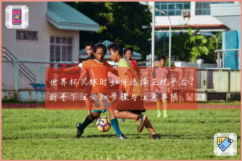 世界杯买球时如何选择正规平台？新手下注必知步骤与注意事项