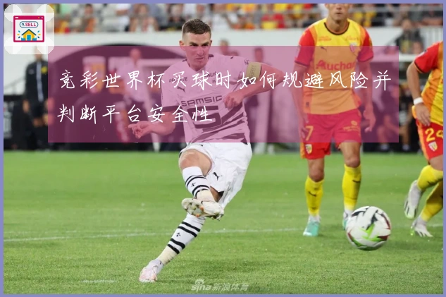 竞彩世界杯买球时如何规避风险并判断平台安全性