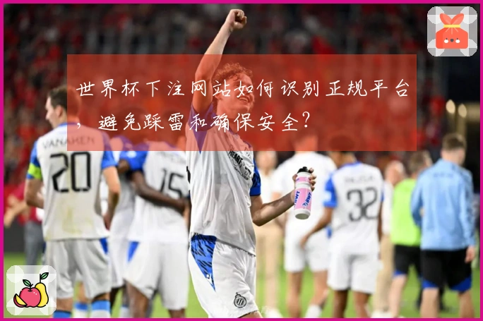 世界杯下注网站如何识别正规平台，避免踩雷和确保安全？